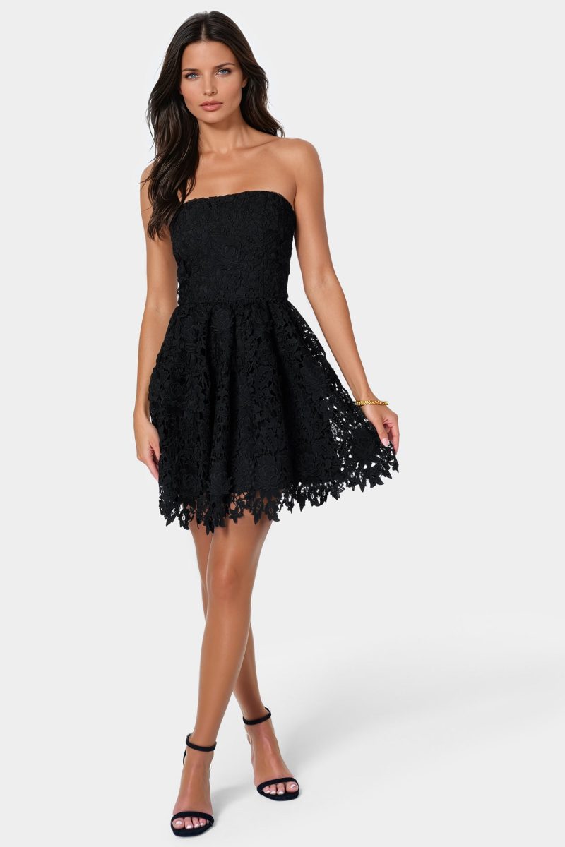 Strapless Lace Cupcake Dress