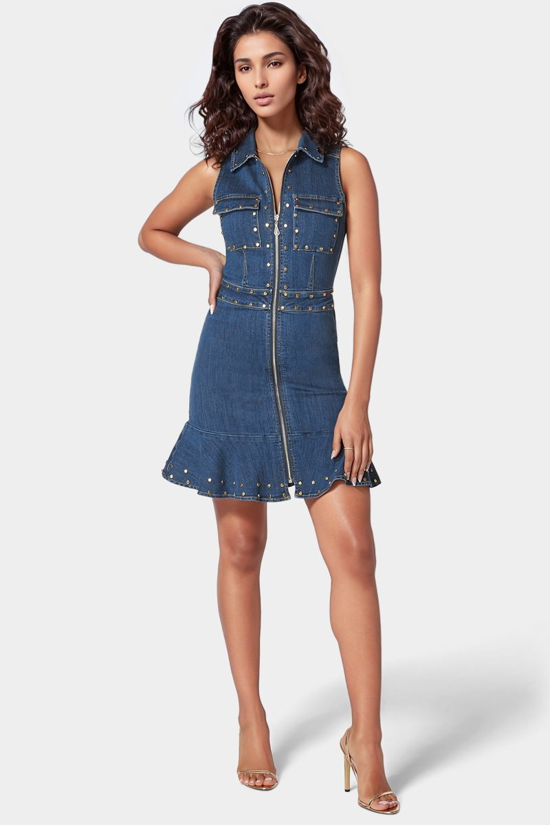 Zip Front Stud Detail Fit And Flare Denim Dress