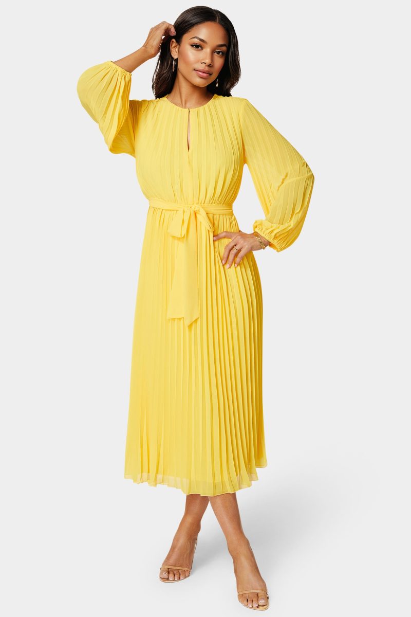 Pleated Gown With Long Sleeves