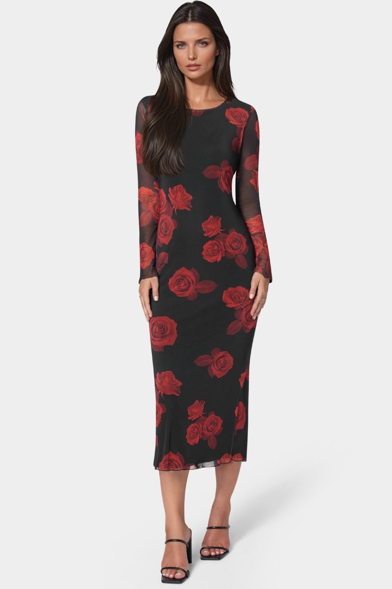 Long Sleeve Printed Powermesh Maxi