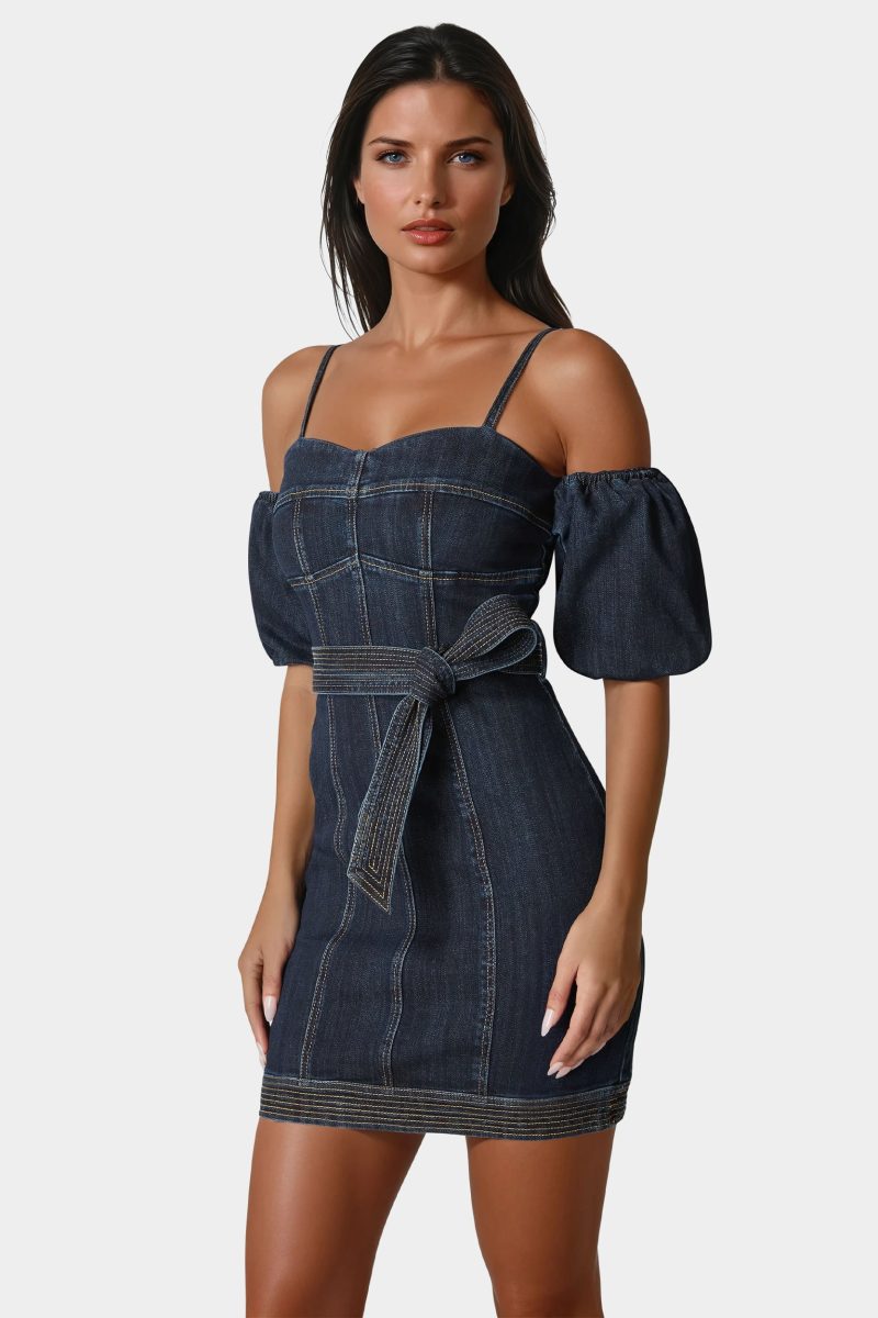 Fitted Denim Dress
