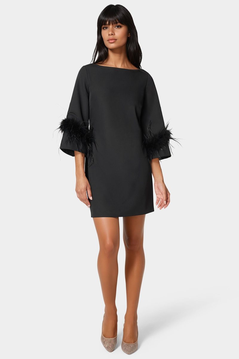 Feather Sleeve Mini Dress