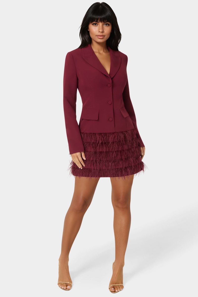 Feather Blazer Dress