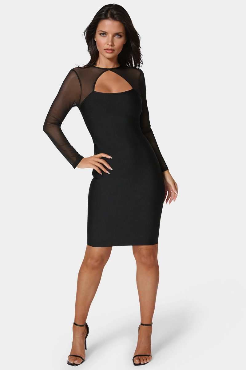 Longsleeve Mesh Peek A Boo Bandage Dress